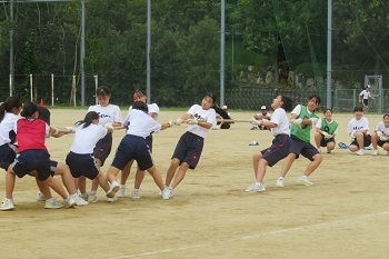 綱取り合戦